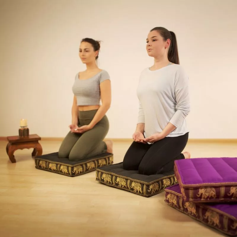 Kapok Bodensitzkissen, Deluxe (Hellblau/Elefanten Seide) – Bild 2